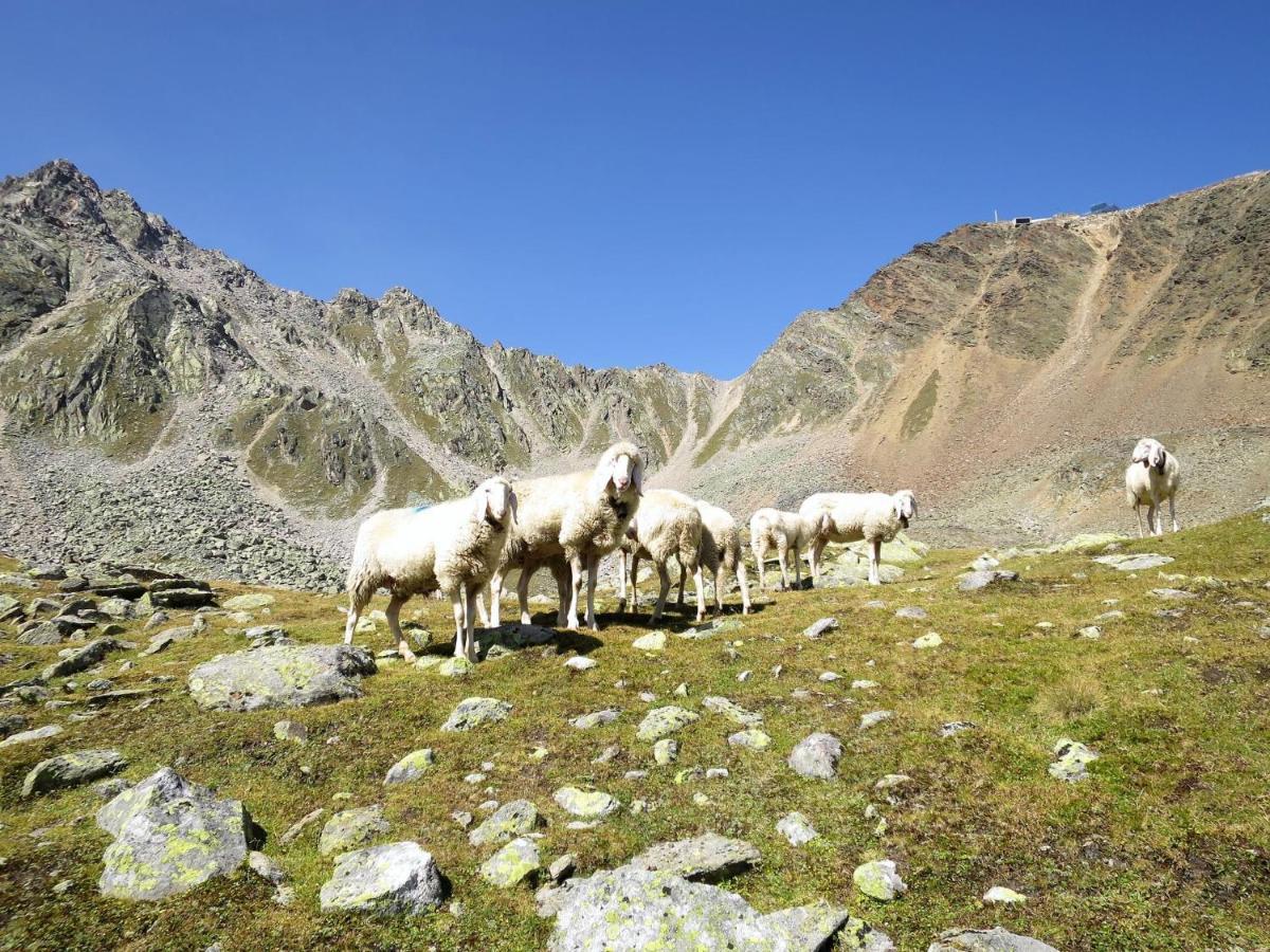 Apartment Appartment Wildmoos - Soe316 By Interhome Зельден Екстер'єр фото